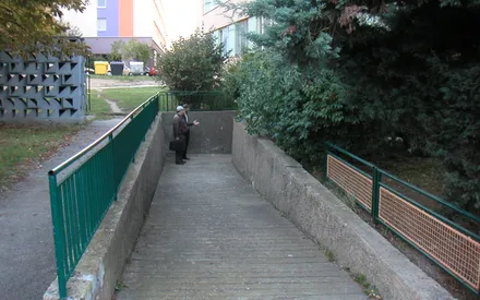 Rekonstrukce panelového domu, Nad Lesním divadlem